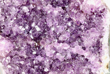 Load image into Gallery viewer, Upright Uruguay Amethyst Cluster Druze - Large