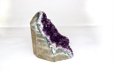 Load image into Gallery viewer, Upright Uruguay Amethyst Cluster Druze - Large