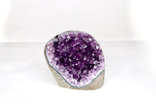 Load image into Gallery viewer, Upright Uruguay Amethyst Cluster Druze - Medium