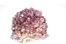 Load image into Gallery viewer, Amethyst Pine Cluster Druze - Medium