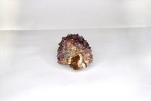 Load image into Gallery viewer, Amethyst Pine Cluster Druze - Medium