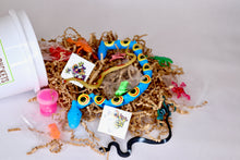 Load image into Gallery viewer, Reptile Riches Treasure Bucket Adventure