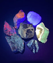Load image into Gallery viewer, Funky Fluorescents Gallon Gem Mining Bucket - UV Reactive Stones - Bucket, Kit, and/or Light