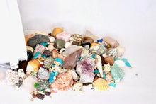 Load image into Gallery viewer, Everything But The Kitchen Sink - Gallon - Gemstones, Fossils, Sharks Teeth, Seashells