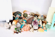 Load image into Gallery viewer, Everything But The Kitchen Sink - Gallon Kit - Gemstones, Fossils, Sharks Teeth, Seashells