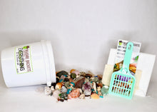 Load image into Gallery viewer, Everything But The Kitchen Sink - Gallon Kit - Gemstones, Fossils, Sharks Teeth, Seashells