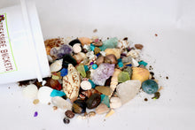 Load image into Gallery viewer, Everything But The Kitchen Sink - Quart - Gemstones, Fossils, Sharks Teeth, Seashells
