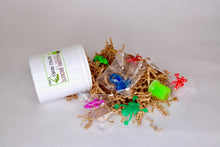 Load image into Gallery viewer, Reptile Riches Treasure Bucket Adventure