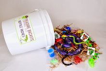 Load image into Gallery viewer, Reptile Riches Treasure Bucket Adventure