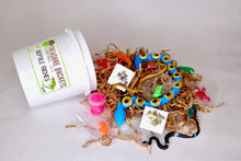 Load image into Gallery viewer, Reptile Riches Treasure Bucket Adventure