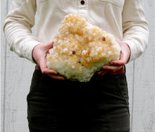 Load image into Gallery viewer, Citrine Cluster Druze - Extra Large