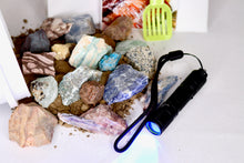 Load image into Gallery viewer, Funky Fluorescents Quart Gem Mining Bucket - UV Reactive Stones - Bucket, Kit and/or Light