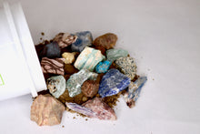 Load image into Gallery viewer, Funky Fluorescents Quart Gem Mining Bucket - UV Reactive Stones - Bucket, Kit and/or Light
