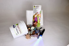 Load image into Gallery viewer, Funky Fluorescents Quart Gem Mining Bucket - UV Reactive Stones - Bucket, Kit and/or Light