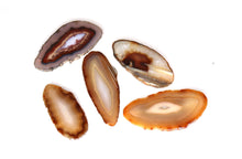Load image into Gallery viewer, Agate Slice - Small - 1-2" : Choose your color!
