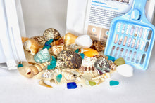 Load image into Gallery viewer, Beach Bucket Gallon Bucket Kit