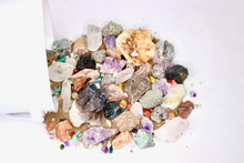 Load image into Gallery viewer, Carolina Cache Gem Mining Bucket - Gallon