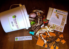 Load image into Gallery viewer, Dino Digs Gallon Bucket