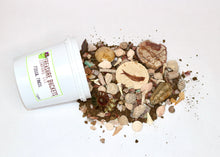 Load image into Gallery viewer, Fossil Finds Fossil Hunting and Gem Mining Bucket - Quart