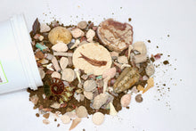 Load image into Gallery viewer, Fossil Finds Fossil Hunting and Gem Mining Bucket - Quart