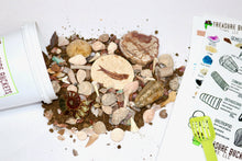 Load image into Gallery viewer, Fossil Finds Fossil Hunting and Gem Mining Bucket Kit - Quart