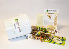 Load image into Gallery viewer, Dino Digs Gallon Bucket