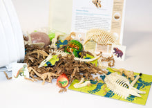 Load image into Gallery viewer, Dino Digs Gallon Bucket