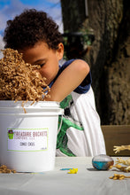 Load image into Gallery viewer, Dino Digs Gallon Bucket