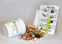 Load image into Gallery viewer, Fossil Finds Fossil Hunting and Gem Mining Bucket Kit - Quart