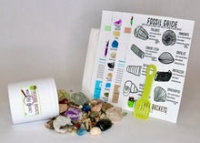 Load image into Gallery viewer, Mystery Bucket Kit - 16oz Jar (Gemstones, Fossils & More)