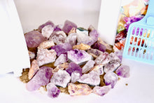 Load image into Gallery viewer, Amazing Amethyst Gallon Bucket Kit - Amethyst Only Gem Mining
