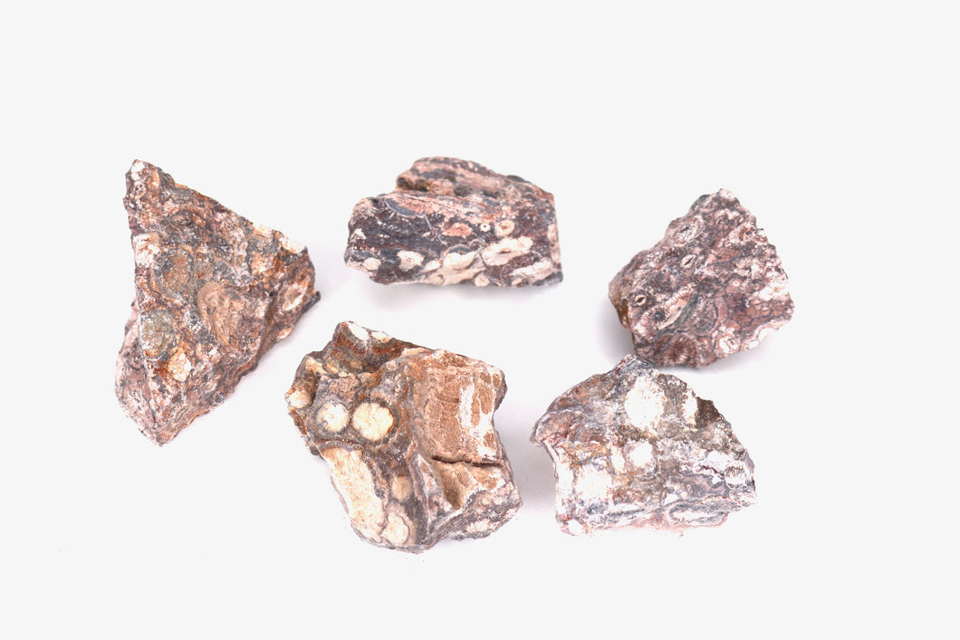 Bird’s Eye Rhyolite - Rough Gemstone