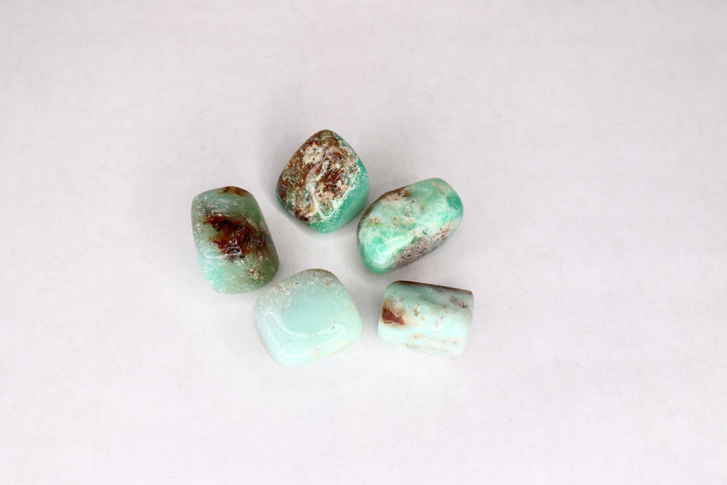 Chrysoprase Tumbled Gemstone