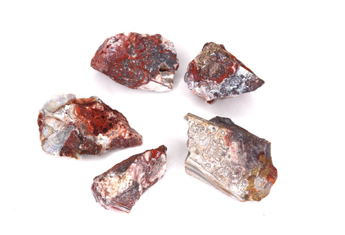 Five rough crazy lace agate on a white background