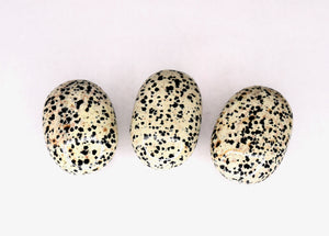 Dalmatian Jasper Soap Stone
