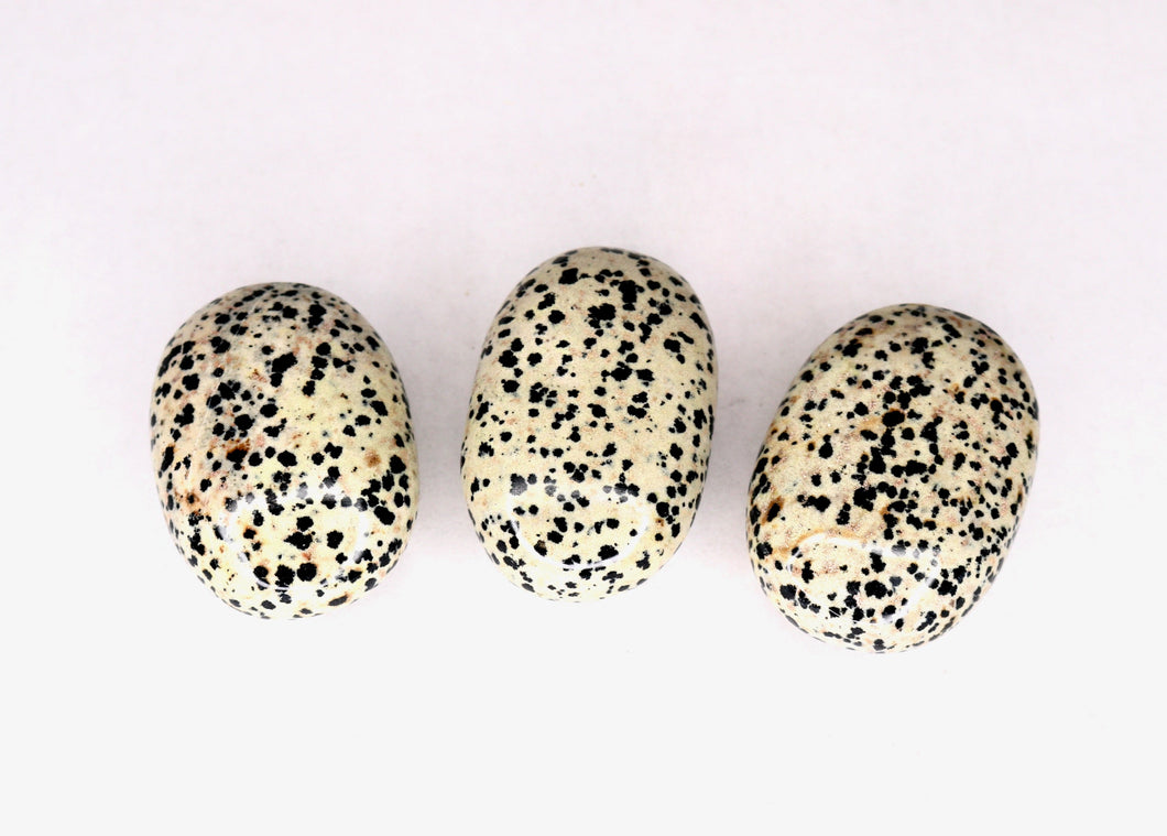 Dalmatian Jasper Soap Stone