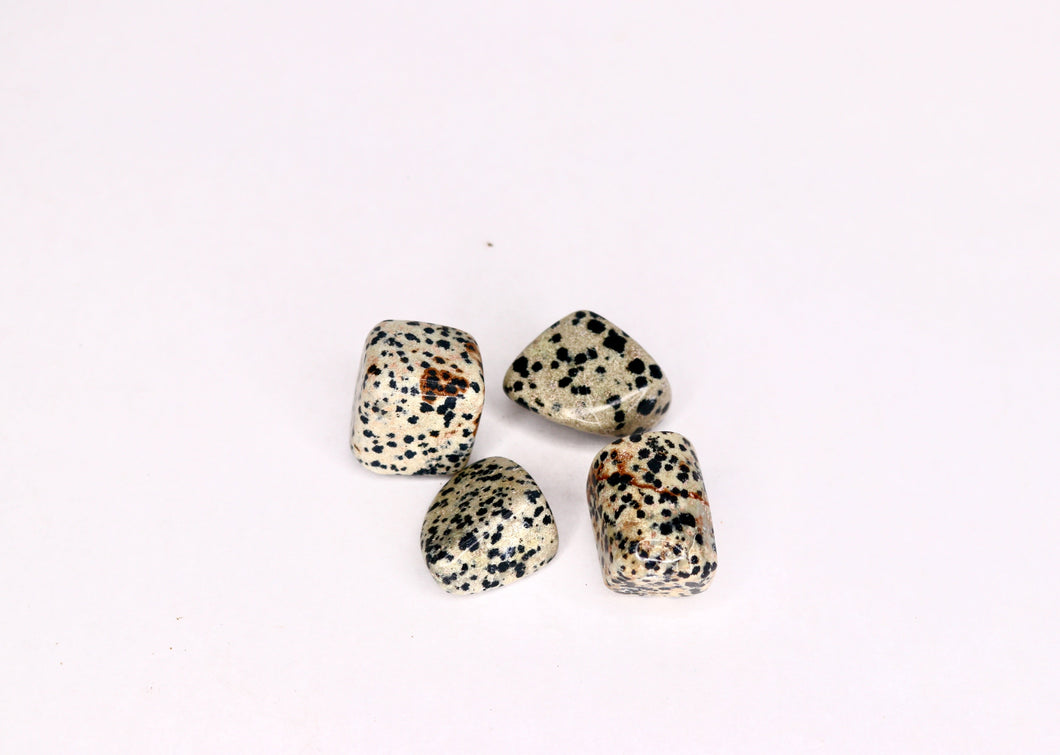 Dalmatian Jasper - Tumbled Gemstone