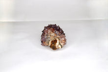 Load image into Gallery viewer, Amethyst Pine Cluster Druze - Medium
