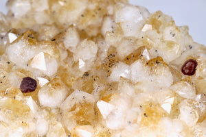 Citrine Cluster Druze - Extra Large