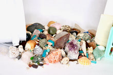 Load image into Gallery viewer, Everything But The Kitchen Sink - Gallon Kit - Gemstones, Fossils, Sharks Teeth, Seashells
