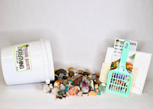 Load image into Gallery viewer, Everything But The Kitchen Sink - Gallon Kit - Gemstones, Fossils, Sharks Teeth, Seashells
