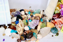 Load image into Gallery viewer, Everything But The Kitchen Sink - Quart Kit - Gemstones, Fossils, Sharks Teeth, Seashells
