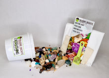 Load image into Gallery viewer, Everything But The Kitchen Sink - Quart Kit - Gemstones, Fossils, Sharks Teeth, Seashells
