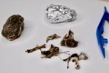 Load image into Gallery viewer, Owl Pellet - 1.25&quot;-1.5&quot;
