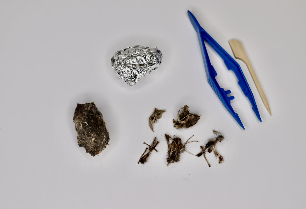 Owl Pellet - 1.25