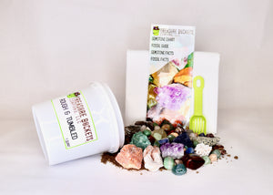 Rough & Tumbled Quart Kit - Gem Mining Bucket - Rough and Tumbled Gemstones