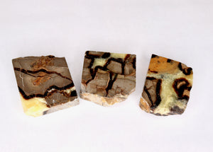 Septarian Polished Slab 2-3"