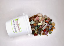 Load image into Gallery viewer, Stones of the States - Gem Mining Bucket - Gallon
