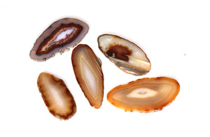 Agate Slice - Small - 1-2" : Choose your color!