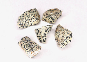 Dalmatian Jasper - Rough Gemstone